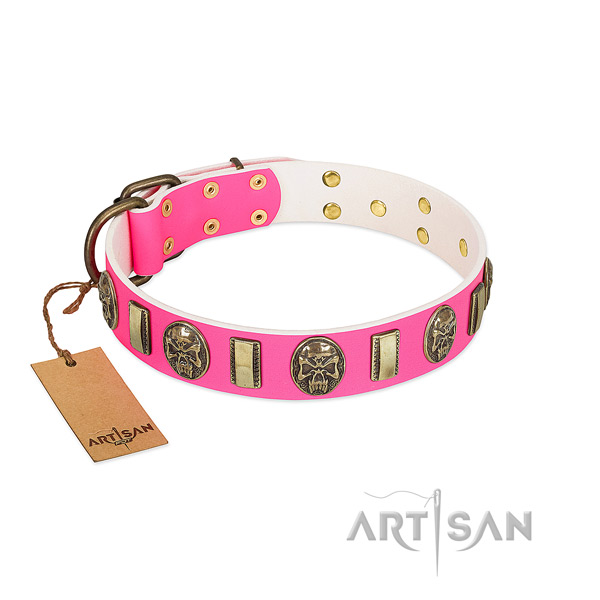 Rust-proof embellishments on full grain leather dog collar for your canine