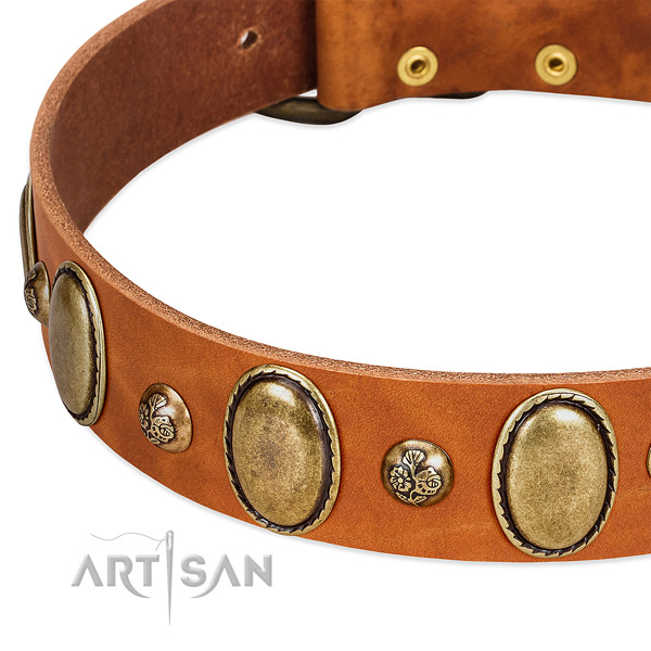 Natural leather dog collar with inimitable studs