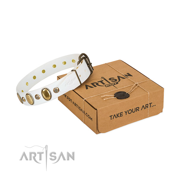 Extraordinary full grain leather dog collar with durable traditional buckle