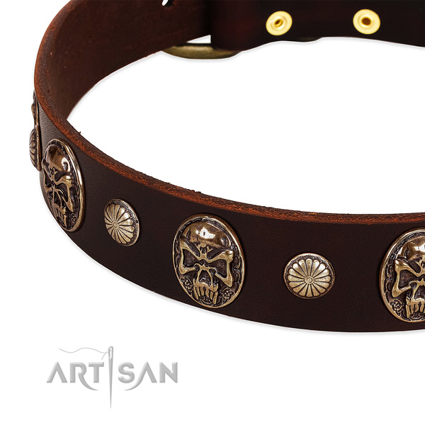 Full grain genuine leather dog collar with studs for comfortable wearing