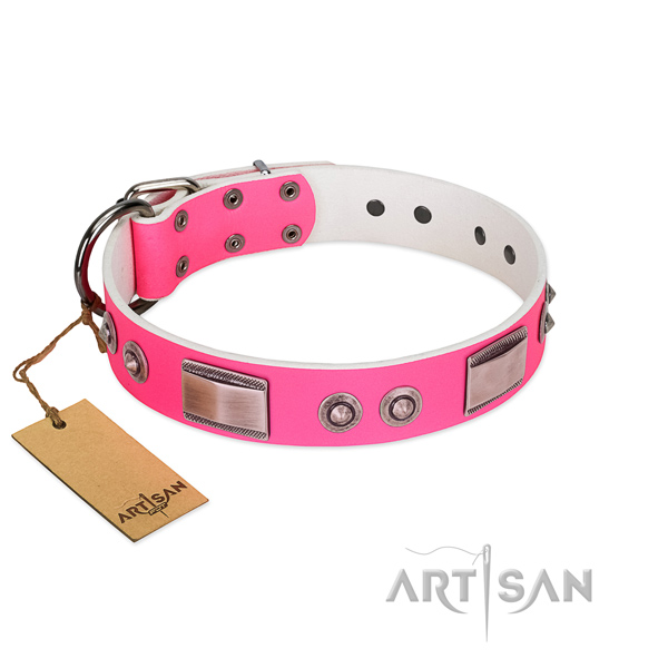 Impressive full grain leather collar with adornments for your pet
