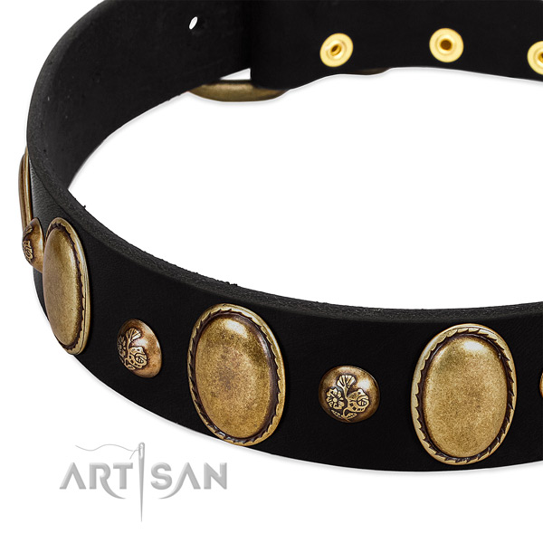 Full grain genuine leather dog collar with impressive embellishments
