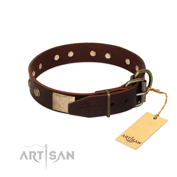 Strong fittings on daily walking dog collar