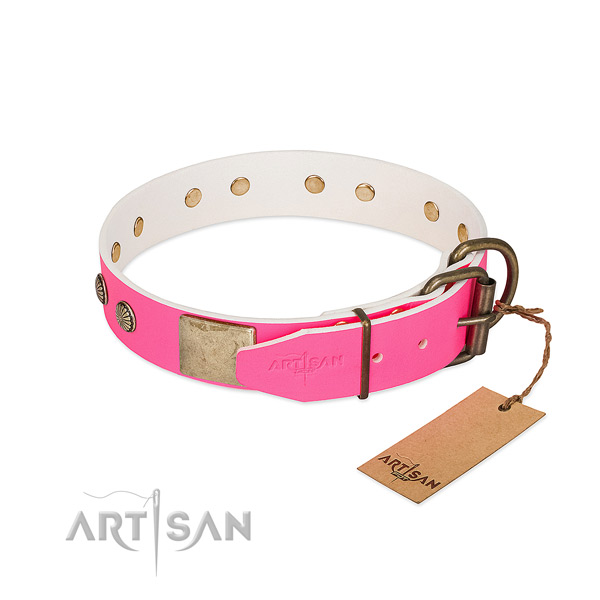Rust resispinkt studs on walking dog collar