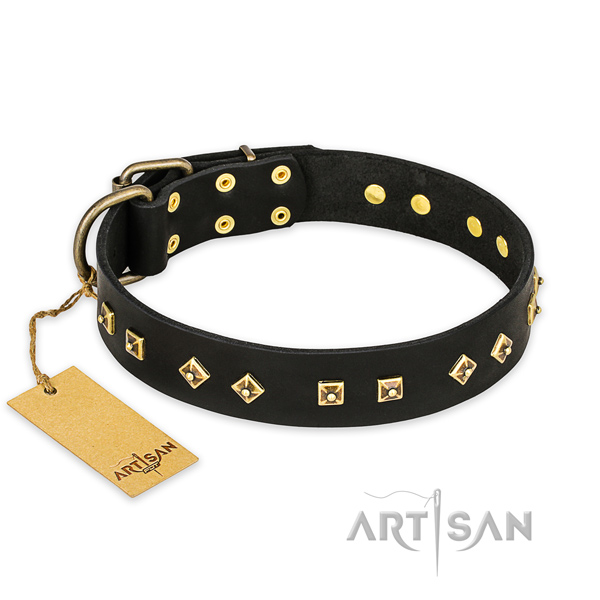 Incredible full grain genuine leather dog collar with reliable traditional buckle