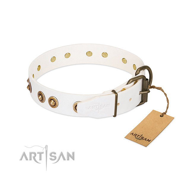 Reliable embellishments on leather dog collar for your doggie