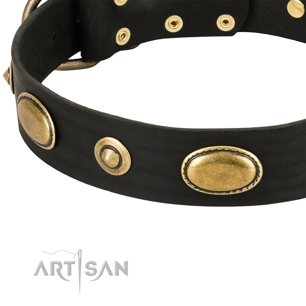 Corrosion resistant embellishments on full grain leather dog collar for your dog