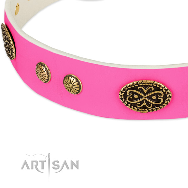 Corrosion proof decorations on natural leather dog collar for your canine