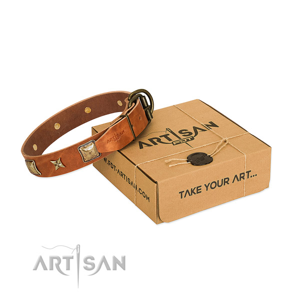 Convenient full grain leather collar for your attractive pet