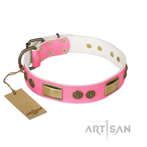 Significant full grain natural leather dog collar for daily use