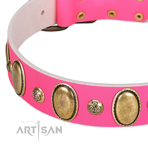 Walking reliable leather dog collar