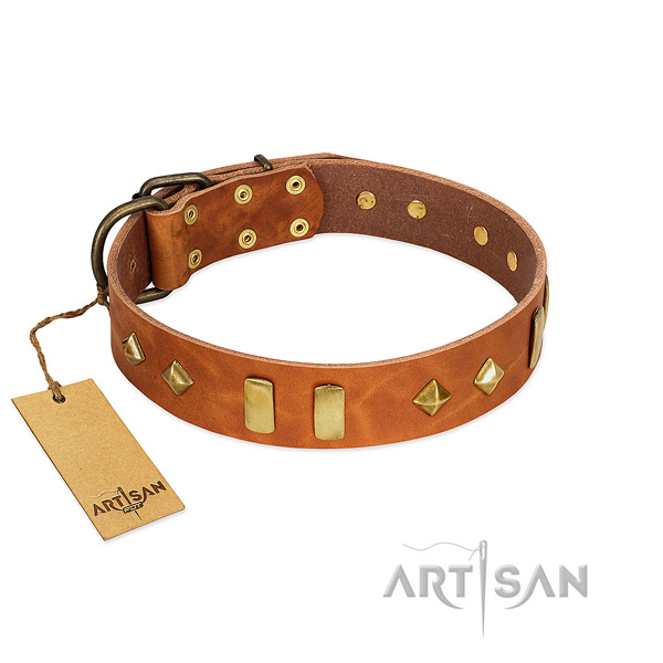 Daily use soft full grain genuine leather dog collar with embellishments