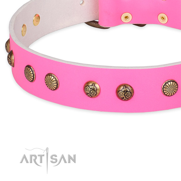 Remarkable full grain natural leather collar for your handsome four-legged friend