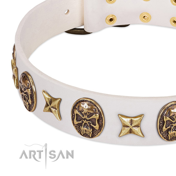 Studded dog collar crafted for your beautiful four-legged friend