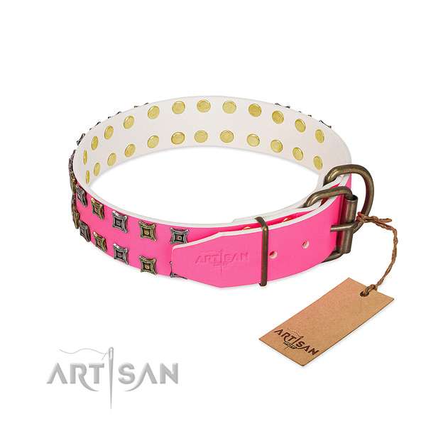 Full grain genuine leather collar with stylish embellishments for your four-legged friend