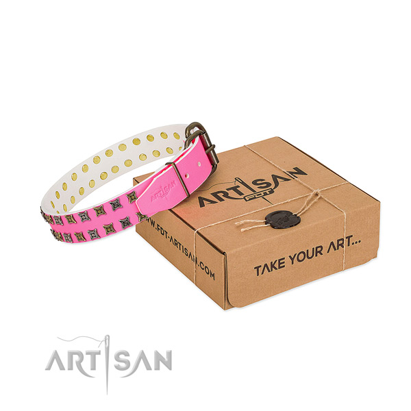 Leather collar with exquisite decorations for your four-legged friend