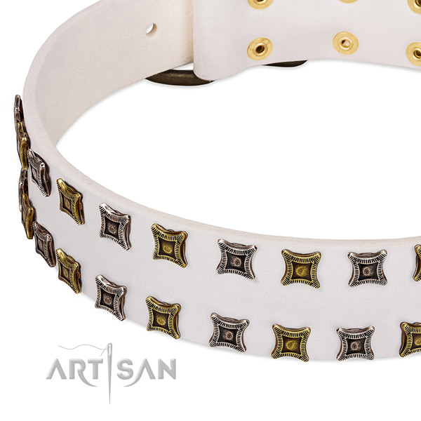 Leather dog collar with embellishments for your impressive doggie
