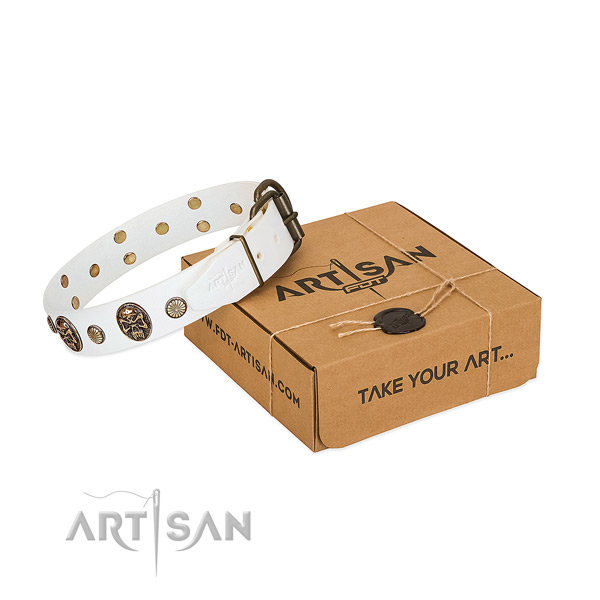 Durable traditional buckle on leather dog collar for daily walking