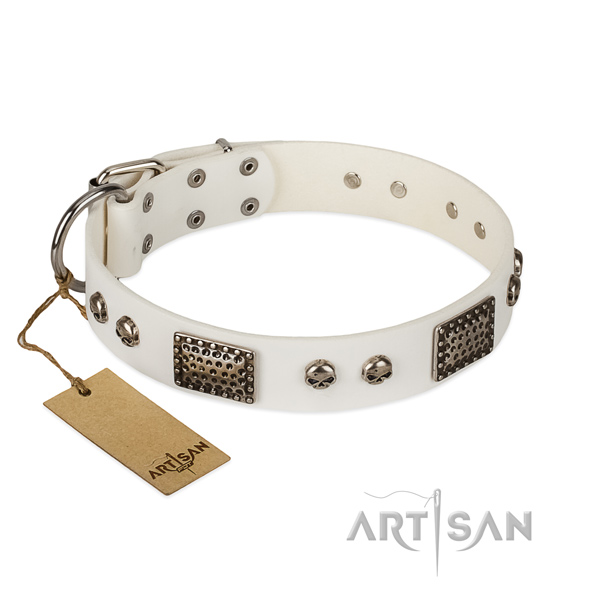 Adjustable full grain natural leather dog collar for basic training your dog