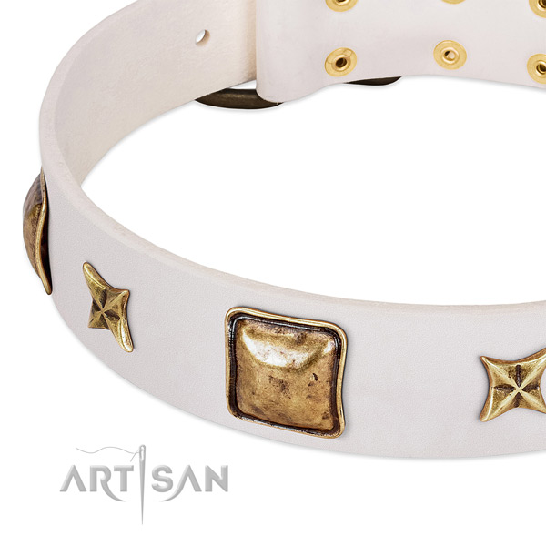 Durable adornments on natural genuine leather dog collar for your four-legged friend