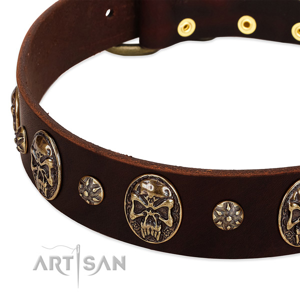 Reliable fittings on full grain natural leather dog collar for your dog