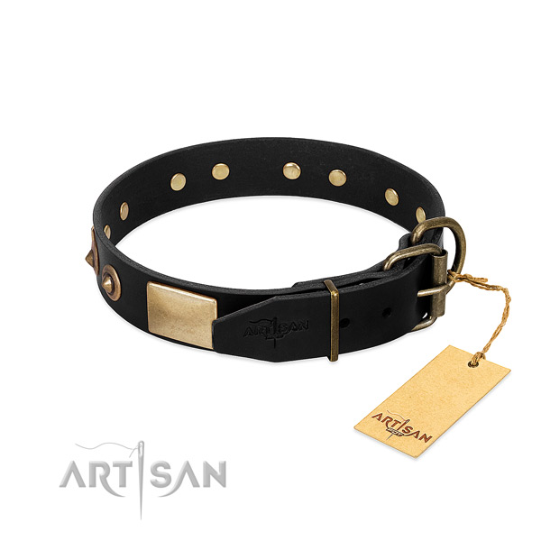 Corrosion resistant decorations on daily walking dog collar