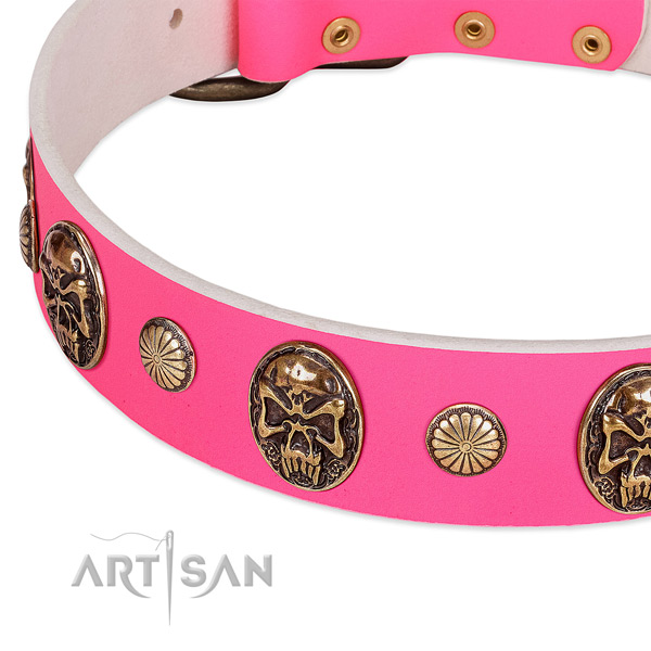 Rust-proof studs on natural genuine leather dog collar for your dog