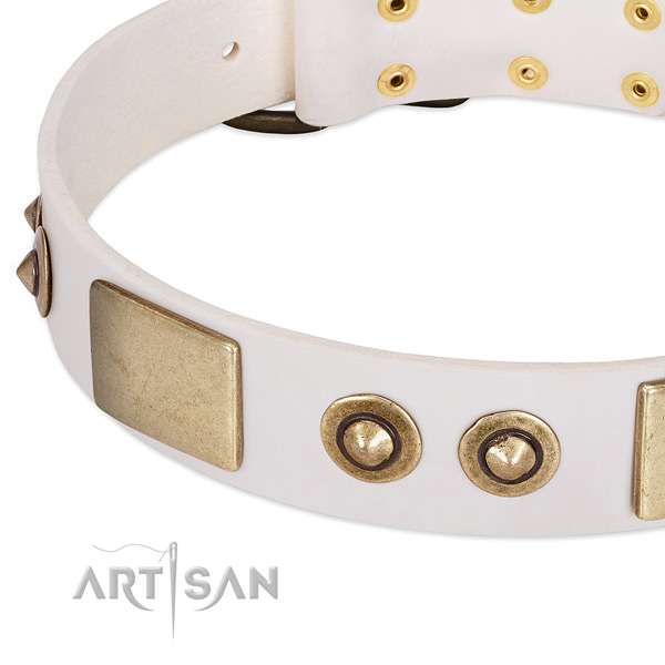 Rust-proof buckle on natural genuine leather dog collar for your pet