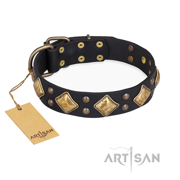 Daily walking designer dog collar with corrosion proof D-ring