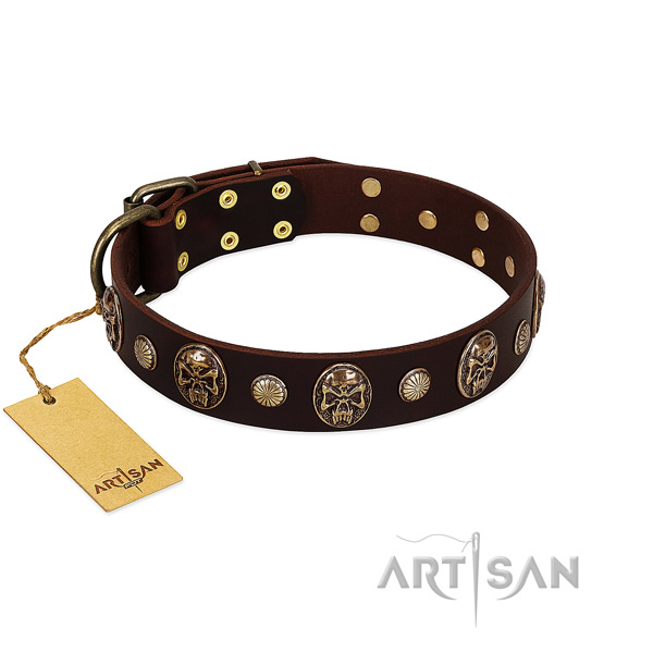 Significant full grain natural leather dog collar for daily use