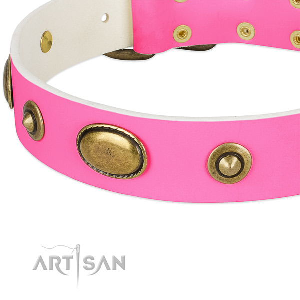 Corrosion resistant decorations on genuine leather dog collar for your pet