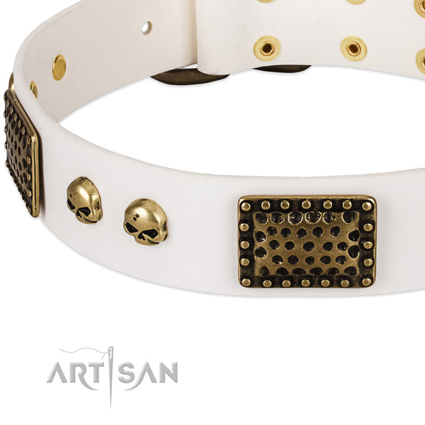 Rust-proof adornments on natural leather dog collar for your pet