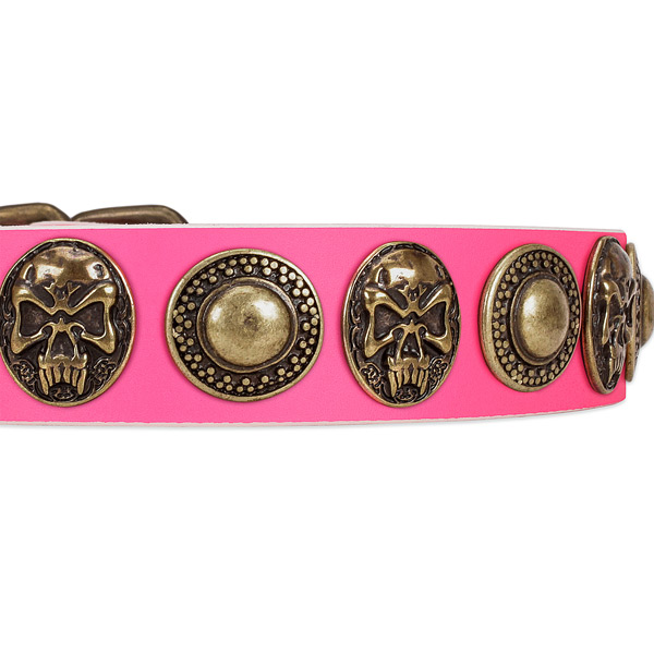 Strong studs on genuine leather dog collar for your canine