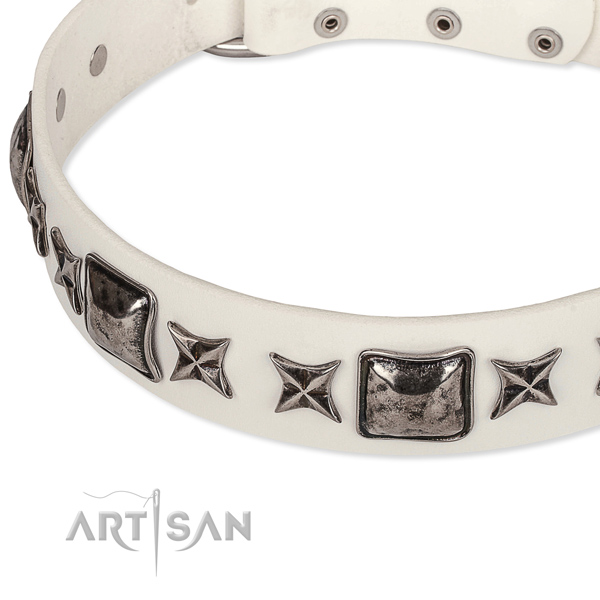 Daily use embellished dog collar of durable full grain leather