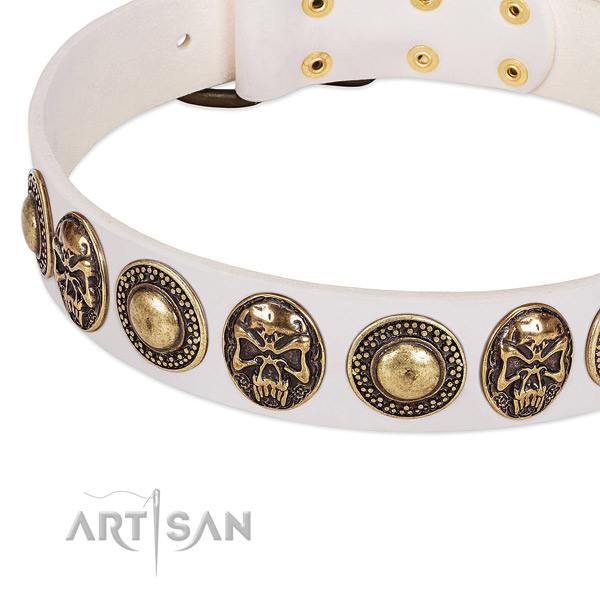 Rust-proof traditional buckle on full grain genuine leather dog collar for your four-legged friend