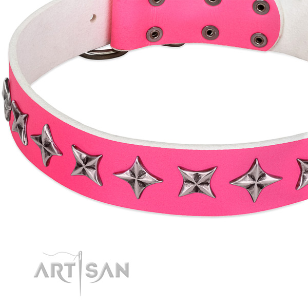 Daily use embellished dog collar of top quality genuine leather