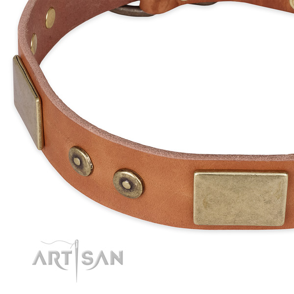 Strong hardware on genuine leather dog collar for your four-legged friend