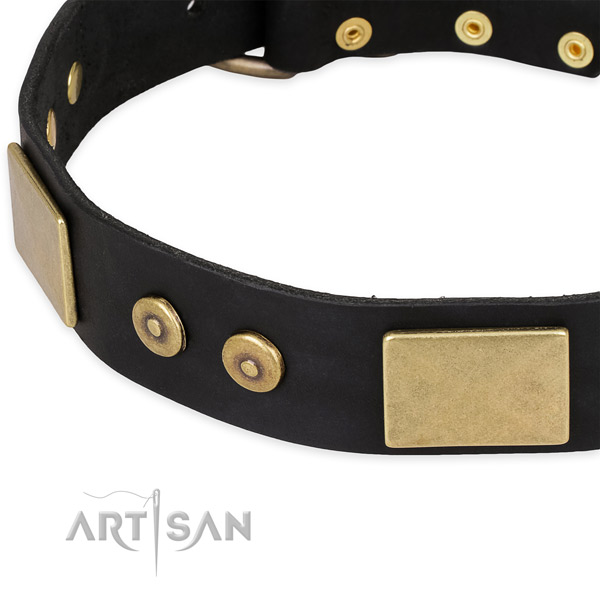 Strong decorations on full grain natural leather dog collar for your canine