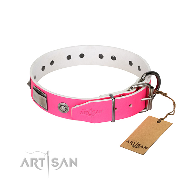 Trendy dog collar of full grain leather with embellishments