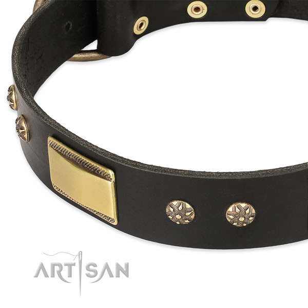 Durable decorations on full grain genuine leather dog collar for your pet