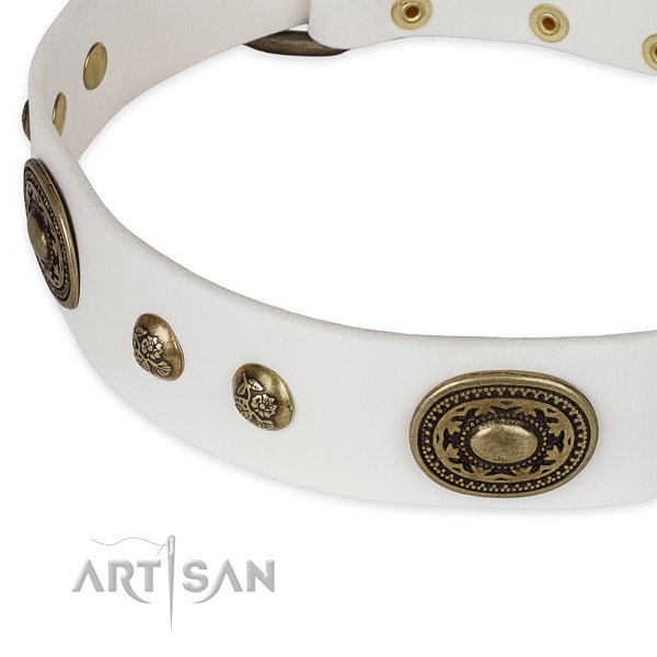 Perfect fit full grain natural leather collar for your stylish dog