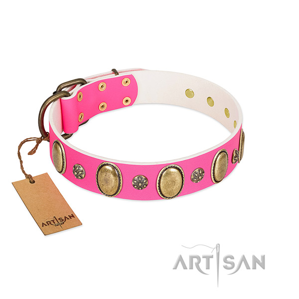 Soft natural leather dog collar with corrosion resistant hardware