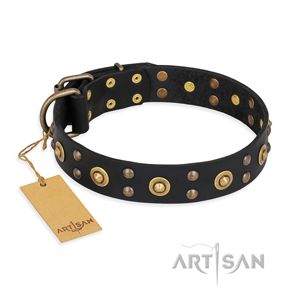 Everyday walking top quality dog collar with rust resistant buckle