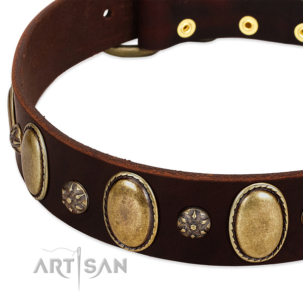Stylish walking gentle to touch genuine leather dog collar