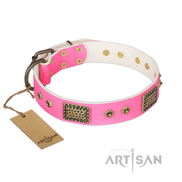 Easy adjustable full grain natural leather dog collar for stylish walking your dog