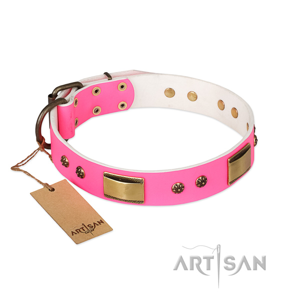 Exquisite leather collar for your four-legged friend