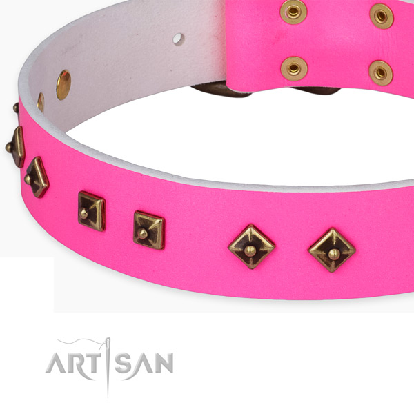 Inimitable genuine leather collar for your lovely dog