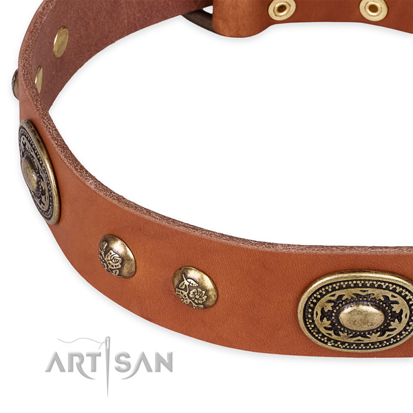 Significant full grain leather collar for your stylish pet