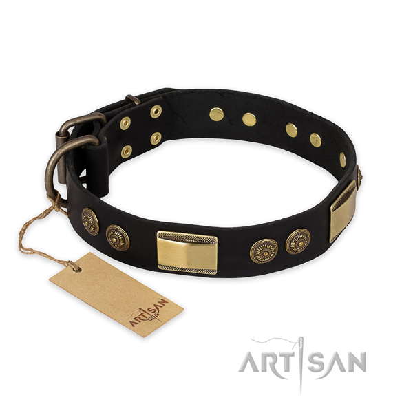 Unusual genuine leather dog collar for everyday walking
