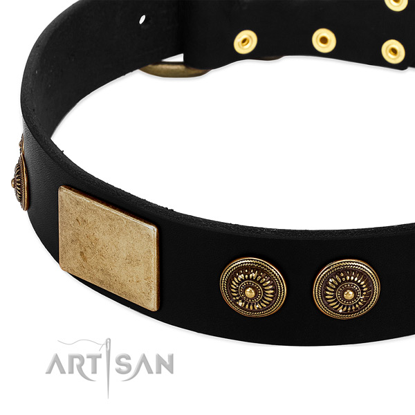 Corrosion proof buckle on leather dog collar for your pet